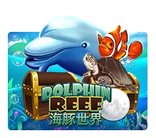 Dolphin Reef - ATHENA777